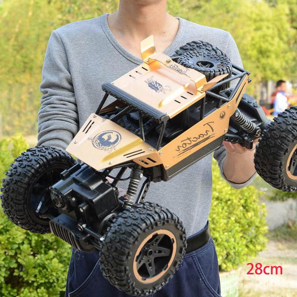 2.4G Remote Control Car Toy
