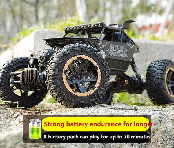 2.4G Remote Control Car Toy