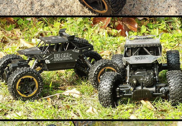 2.4G Remote Control Car Toy